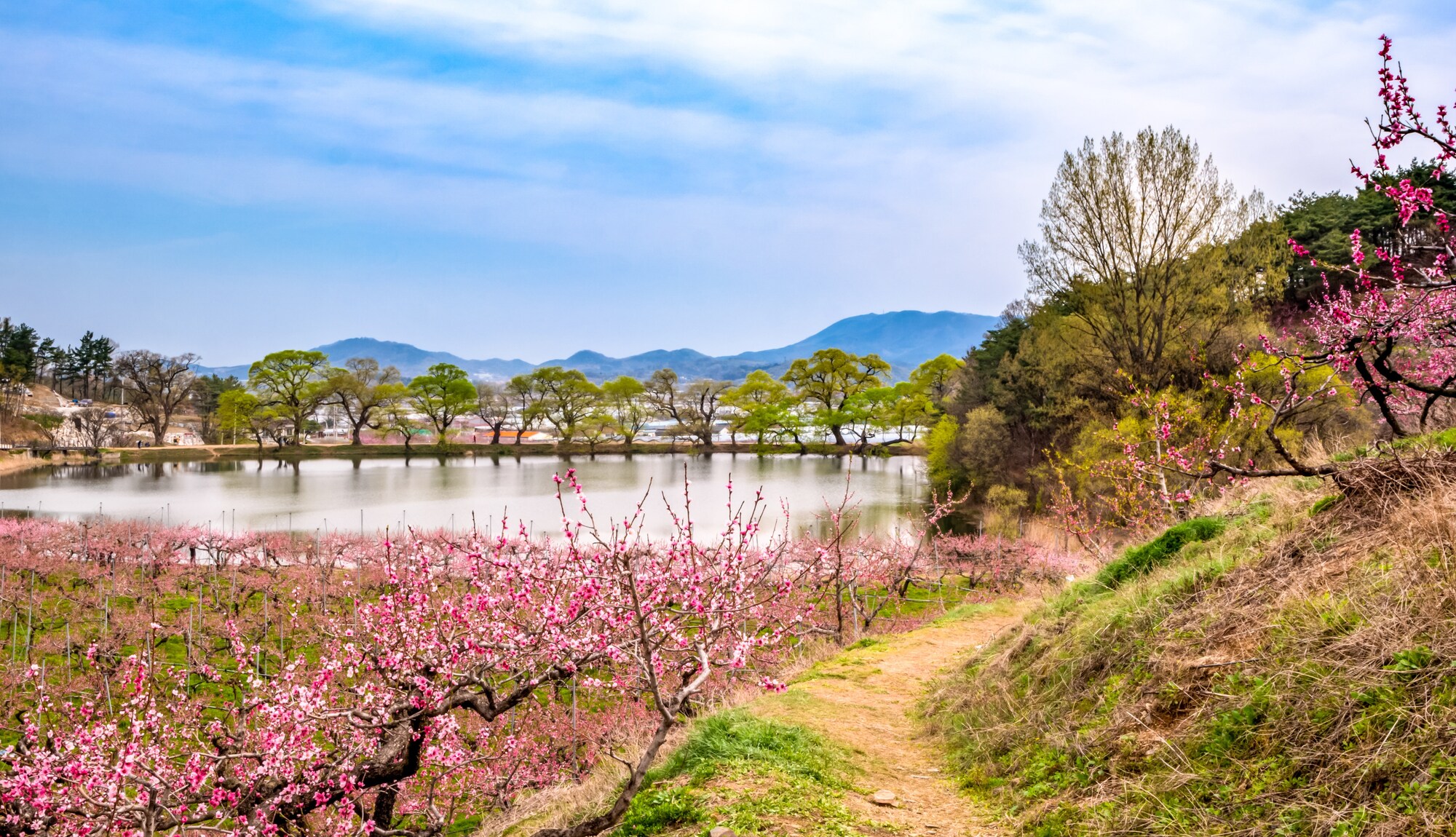 경산